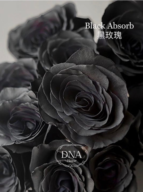 1 Rose Bouquet (Ecuador Rose)