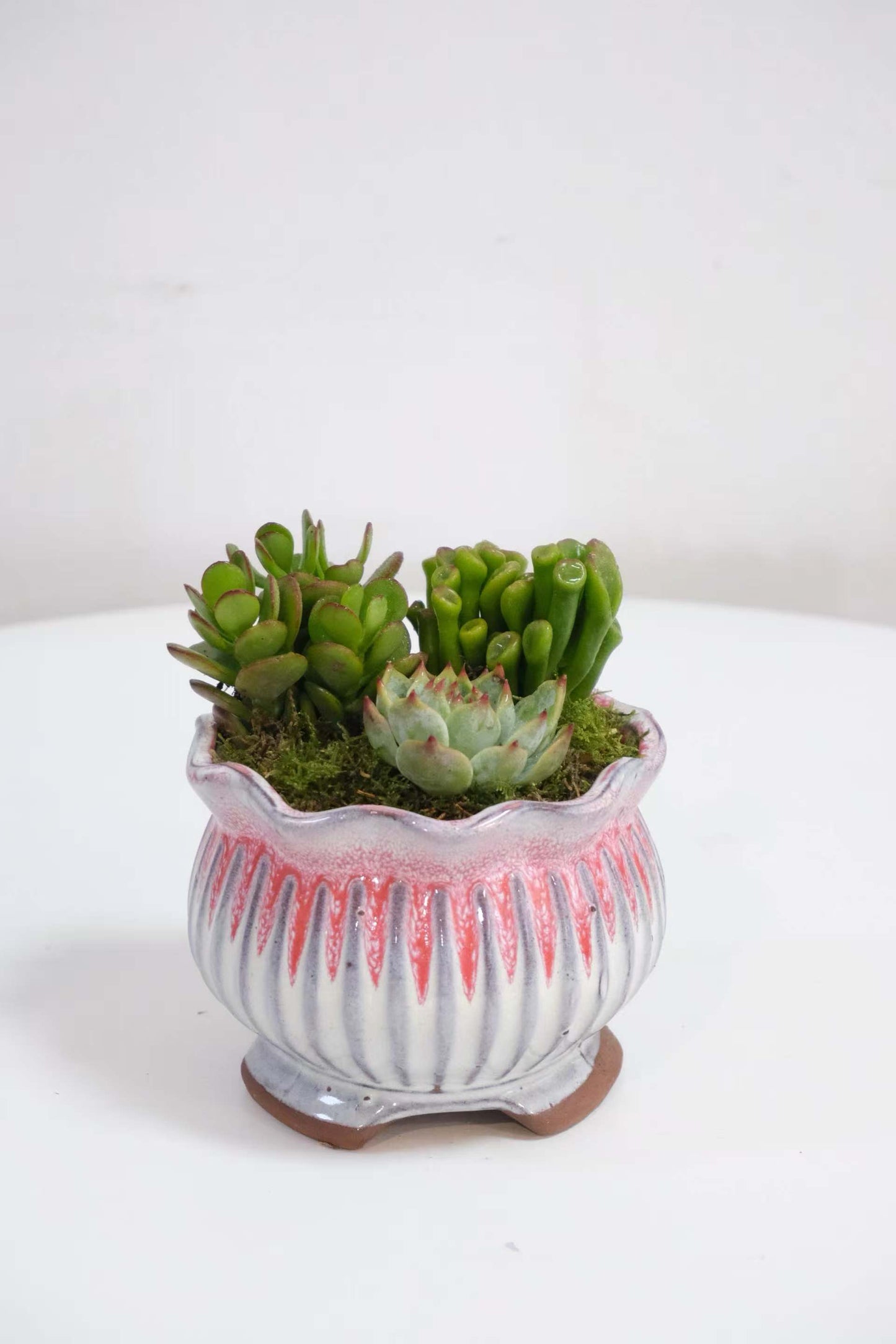 Mini Garden