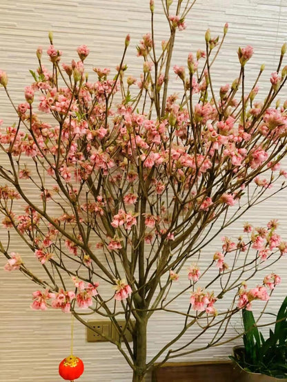 Goldbell 金钟花｜1 Bundle [CN]