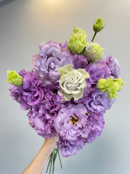 Eustoma 洋桔梗｜1 Bundle [CN]