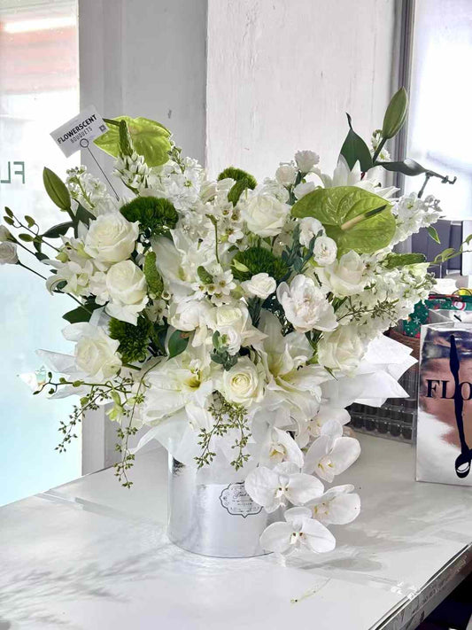 White Cloud ｜Flower Box