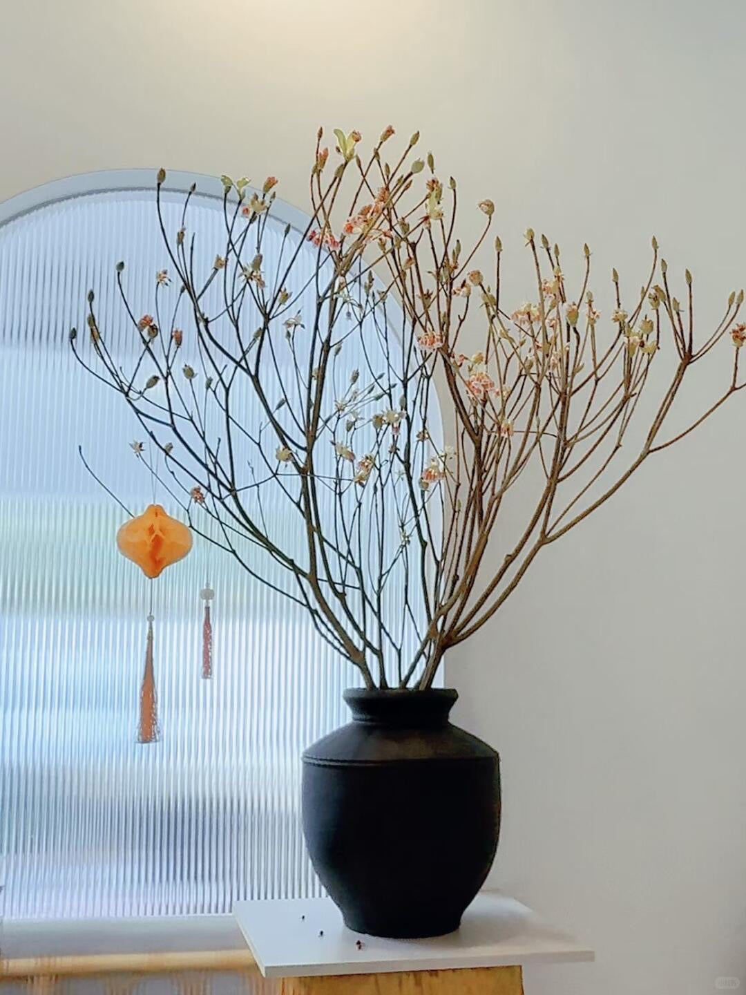 Goldbell 金钟花｜1 Bundle [CN]