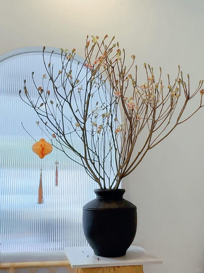 Goldbell 金钟花｜1 Bundle [CN]