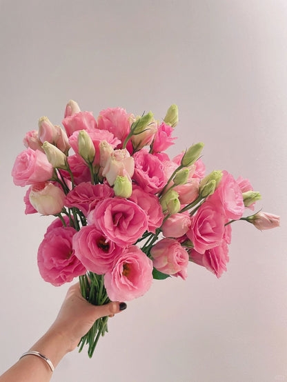 Eustoma 洋桔梗｜1 Bundle [CN]