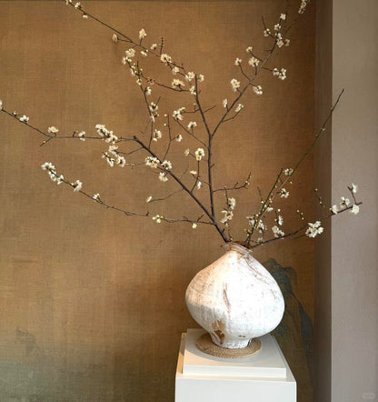 Prunus Mume Pink 梅花｜5 Stalk ｜Japan