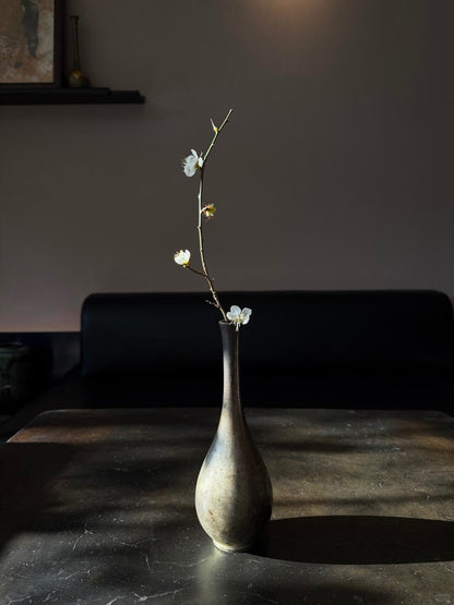 Prunus Mume Pink 梅花｜5 Stalk ｜Japan