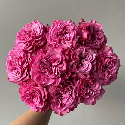 Mamy Blue 蓝调｜Rose｜10 Stalks [Kenya]