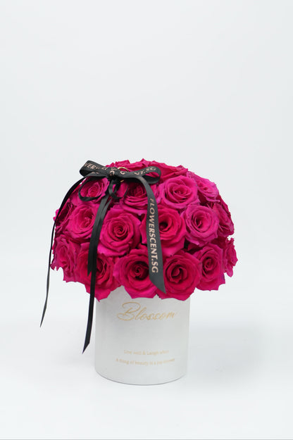 Forever Love ｜Bloom Box