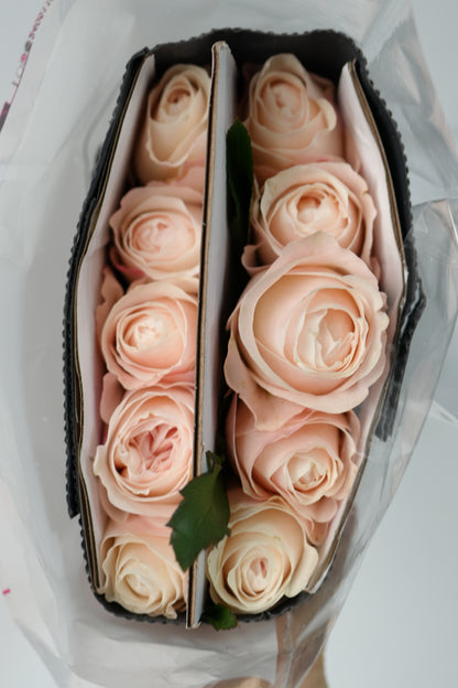 Kathrine 凯瑟琳｜Rose｜10/20 Stalks [CN]