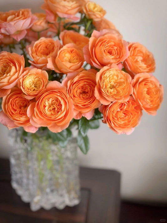Juicy Terrazza 果汁阳台｜Spray Rose| 10 Stalks [CN]