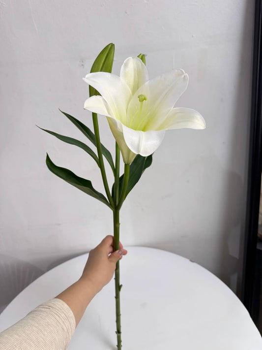 Lilies  | White 10 Stalks