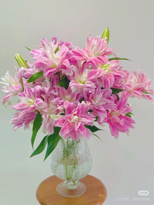 Lilies Double Petals 3 Heads 红丝带｜5 Stalks [CN]