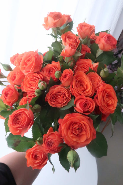 Barbie Orange 橙色芭比｜Spray Rose｜10 Stalks [CN]