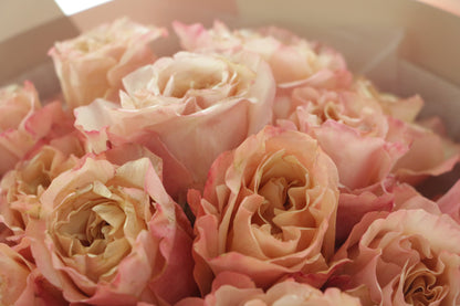 19 Roses Sunny Warm ｜Rose Bouquet