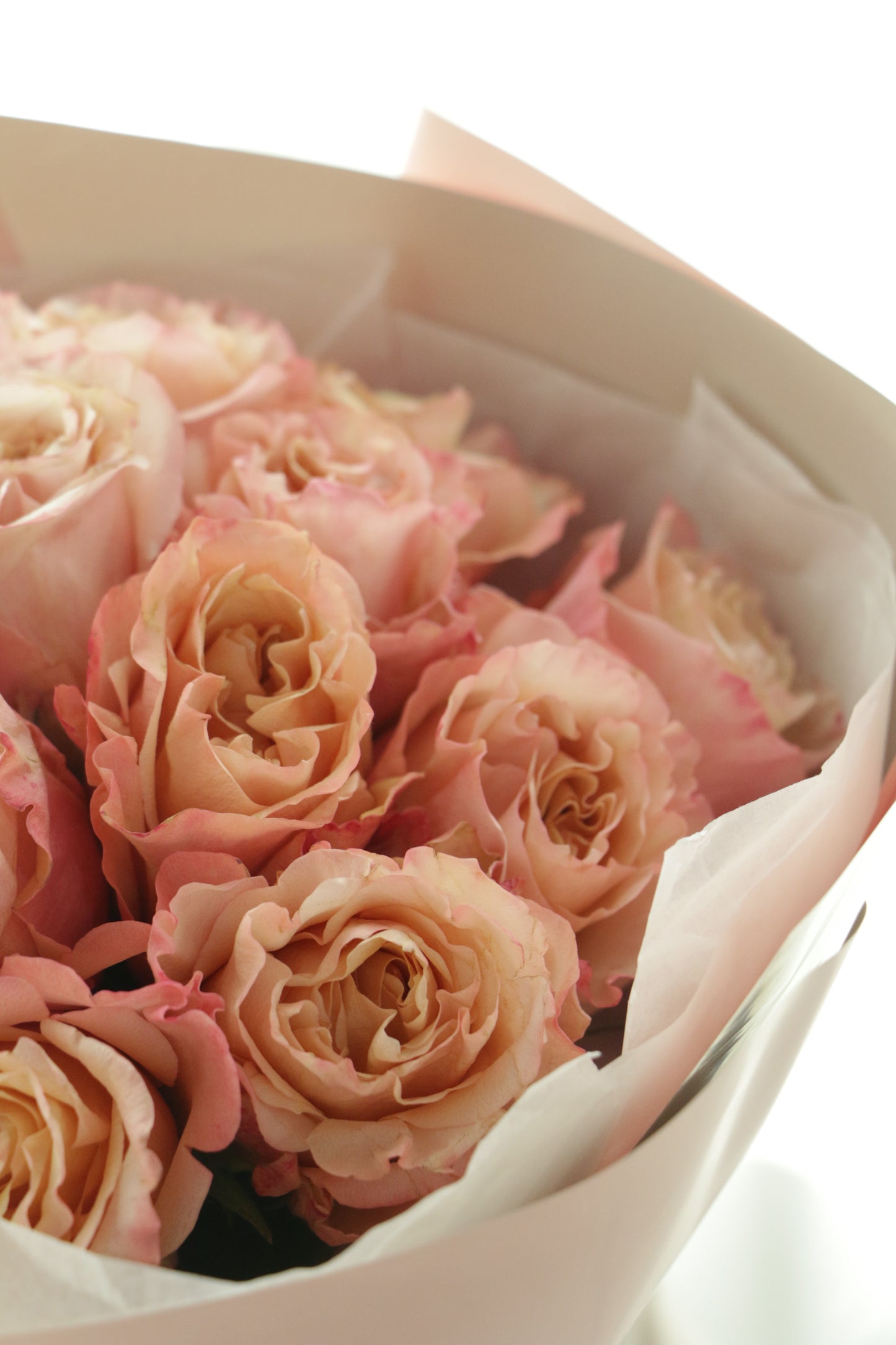 19 Roses Sunny Warm ｜Rose Bouquet