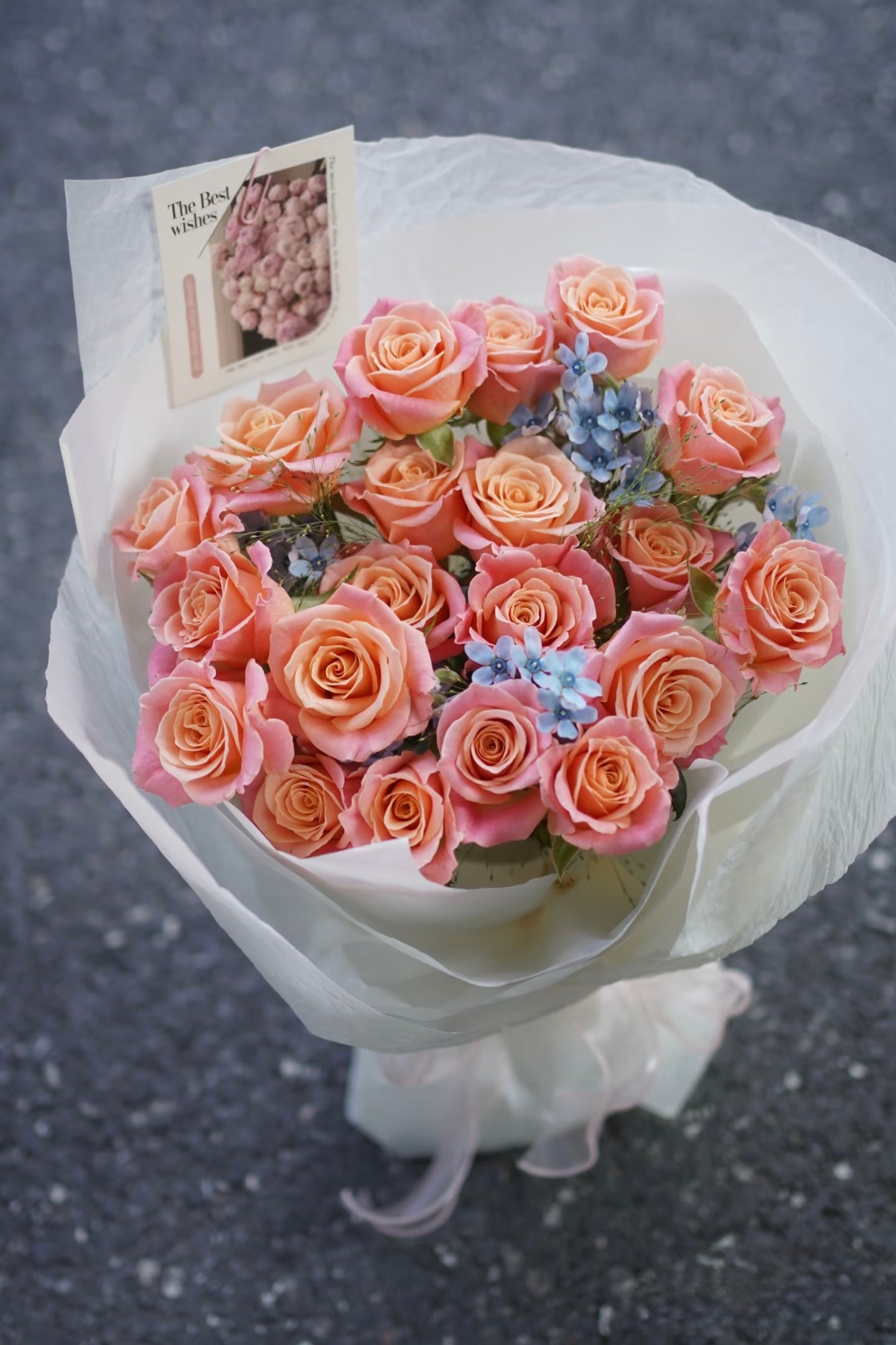 Coral Dawn｜Rose Bouquet