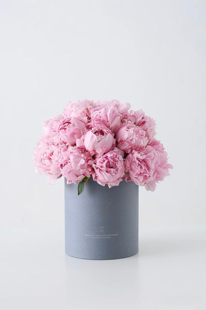 Peony Bloom｜Flower Box