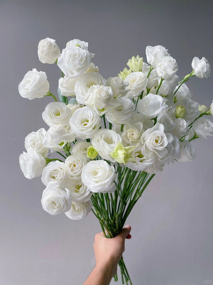 Eustoma 洋桔梗｜1 Bundle [CN]