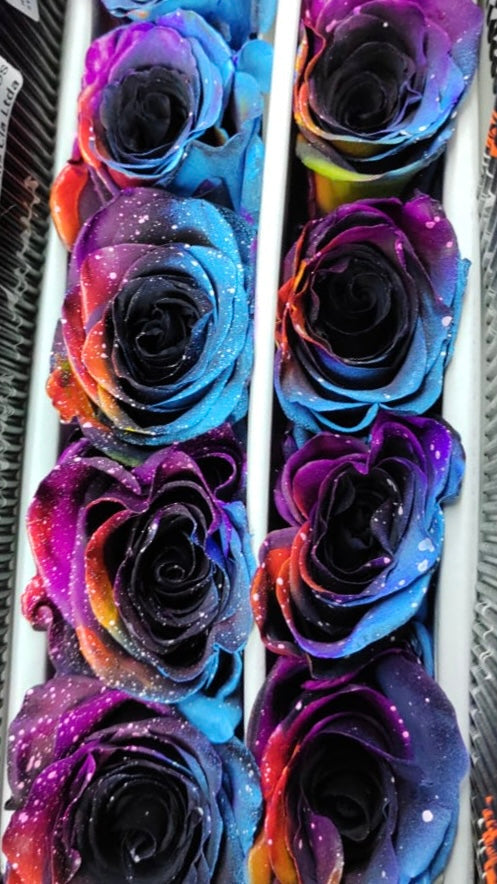 Ecuador Rose (Dyed)｜Starry Nebula｜10 Stalks (Pre-order)