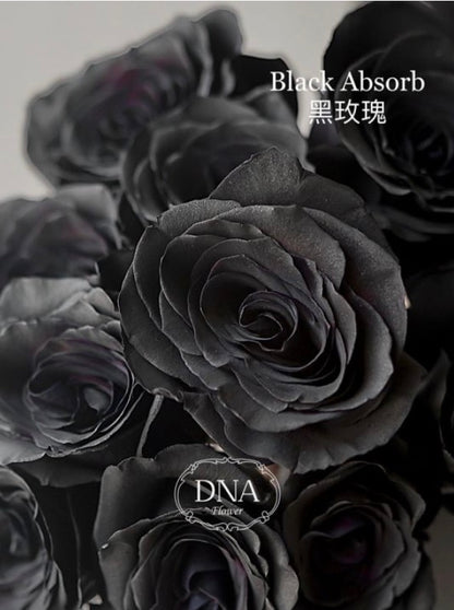 1 Rose Bouquet （Ecuador Rose）