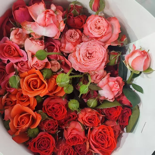 Spray Rose（Mixed Colour）| 10 Stalks [CN]
