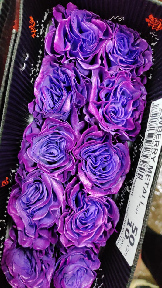 Ecuador Rose（Dyed）｜Dewberry Metallic｜10 Stalks (Pre-order)